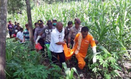 Mayat Perempuan Telanjang di Kebun Jagung Gegerkan Warga Ngawi