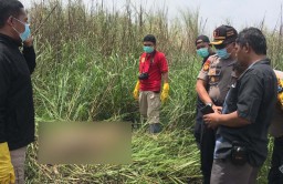 Mayat Wanita Telanjang Ditemukan dalam Semak Pergudangan di Sidoarjo