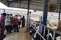 Koperasi di Pujon Malang Jadi Pilot Project Penguatan Sektor Pangan