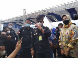 Mentan Sebut Jeruk asal Indonesia Tak Kalah dengan Produk Impor