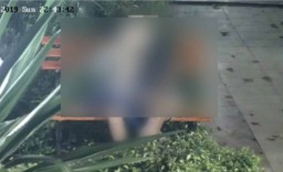 Adegan Mesum Diduga Pasangan Kekasih di Bojonegoro Terekam CCTV