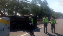 Mobil Pikap Bermuatan Pasir Kucing Terguling di Tol Sidoarjo