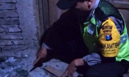 Gara-gara Obat Nyamuk, Seorang Nenek di Ngawi Tewas Terbakar