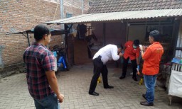 Kasus Kucing Mati Diberi Cairan Diduga Miras Libatkan Dua Orang