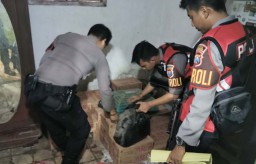 Operasi Bina Kusuma Semeru di Situbondo, Ratusan Botol Miras Disita