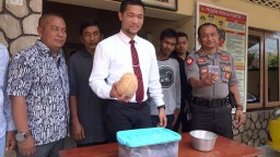 Diklaim Bukan Miras, Cairan yang Diminumkan Kucing di Tulungagung