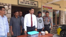 Polisi Kembali Periksa Saksi Terkait Video Kucing Dicekoki Miras