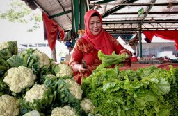 Dijamin Segar dan 'Cantik', Aneka Sayur di PIOS Selalu Ludes Terjual