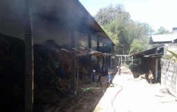 Pabrik Penggilingan Tebu Tradisional di Blitar Terbakar