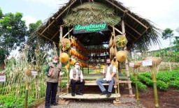 Doni Monardo Puji Sertifikasi New Normal Pariwisata di Banyuwangi