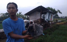 Pak RT di Kota Probolinggo Tewas Tersambar Petir