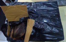 Paket Palsu Berisi Serabut Kelapa ini Bikin Pencuri Masuk Penjara