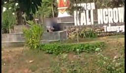Beredar Video Pasangan Mesum di Taman Ngrowo Tulungagung