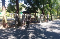 Duh! Siang Bolong Dua Remaja ini Mesum di Taman Maramis Kota Probolinggo