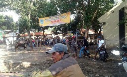 Pasar Ternak di Kota Probolinggo Ditutup, Pedagang Masih Nekat Jualan