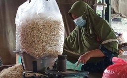 Stok Kecambah di PIOS Melimpah, Ini Manfaatnya Bagi Kulit