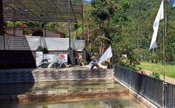 Puluhan Pelaku Usaha di Mojokerto Kibarkan Bendera Putih