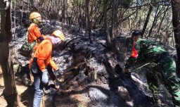Api yang Membakar Hutan di Gunung Panderman Tersisa Dua Titik