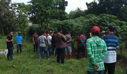 Petugas Linmas di Mojokerto Meninggal saat Kirim Surat Suara
