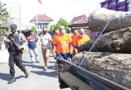 Terlibat Pembalakan Liar Kayu Sonokeling di Ponorogo, 5 Orang Diringkus