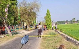 Mayat Bayi dalam Kardus Gegerkan Warga Takeran, Magetan