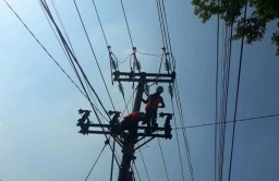 Antisipasi Pemadaman Mendadak, PLN Ponorogo Gelar Gropyok Pemeliharaan Jaringan