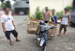 Rakusnya Pemulung ini, Tak Dapat Barang Bekas, HP Pun Diembat