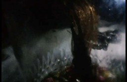 Heboh Video Penangkapan Jenglot di Desa Licin, Banyuwangi