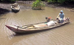 Mengintip Keseharian Para Pencari Kerang di Muara Bedul, Banyuwangi
