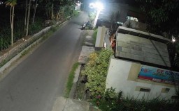 Aksi Nekat Pemotor Curi Bonsai di Kota Probolinggo Terekam CCTV