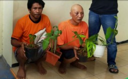 Dua Pencuri 'Janda Bolong' Milik Bos Tanaman Hias di Malang Diringkus