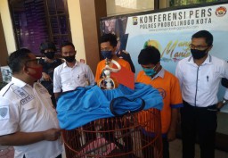 Demi Bayar Angsuran Bank, Dua Bersaudara Nekat Curi Burung Murai