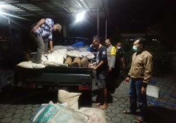 Kelabuhi Polisi, Pembalak ini Tutupi Kayu Curian dengan Karung Jerami