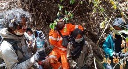 4 Pendaki Terjebak Kebakaran Ditemukan di Puncak Gunung Meranti