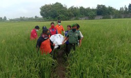 Sepekan Menghilang, Pria ini Ditemukan Tewas di Pematang Sawah
