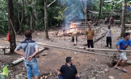 Gerebek Arena Judi Sabung Ayam di Banyuwangi, Polisi Hanya Temukan ini