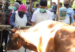 Khofifah Puji Penjualan Hewan Kurban Online di Pelosok Bangkalan