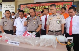 Penyelundupan Ribuan Benih Lobster ke Banyuwangi Digagalkan