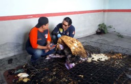 Suami Bakar Istri di Kamar Kos