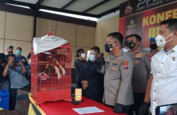 Perdagangan Burung Dilindungi Libatkan Warga Sidoarjo Dibongkar