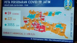 Positif Corona di Jatim Jadi 59, Kabupaten Gresik & Kediri Zona Merah
