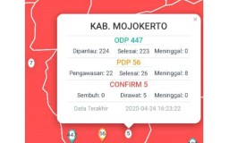 Kadinkes Mojokerto Terkonfirmasi Positif Corona