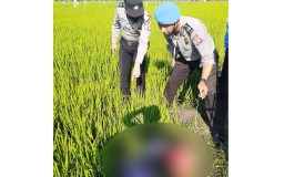 Petani di Ngawi Tewas Tersengat Listrik Jebakan Tikus