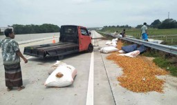 Pikap Bermuatan Cabe Rawit Terguling di Tol Gempol Pasuruan