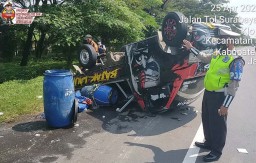 Mobil Pikap Terbalik di Tol Sidoarjo, Muatan Ikan Nila Berhamburan