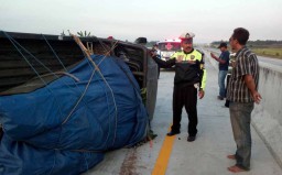 Ban Meletus, Mobil Pikap Terguling di Tol Madiun-Nganjuk