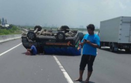 Pikap Bermuatan Jeruk Nipis Terbalik di Tol Romokalisari Gresik