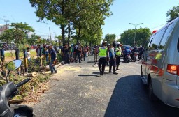 Pohon Tumbang di Surabaya Makan Korban, Satu Orang Tewas