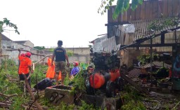 Pohon Tumbang Timpa Bengkel Akibat Hujan Angin di Kota Blitar