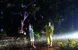 Suami Istri di Probolinggo Luka Parah Akibat Tertimpa Pohon Tumbang
